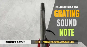 Electric Violin: Grating Notes or Musical Bliss?
