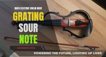 Electric Violin's Sour Notes: Grating or Unique Character?