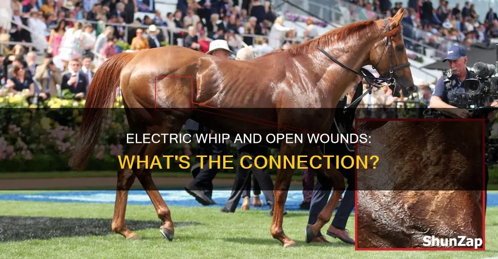 does electric whip benefit from open wounds