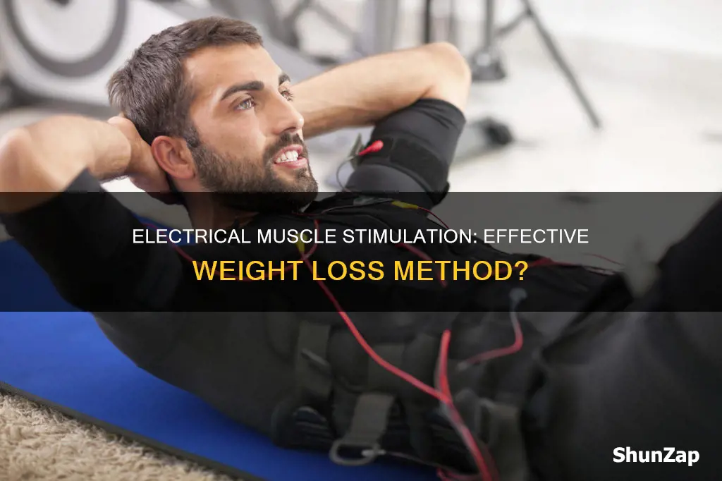 does electrical muscle stimulation help lose weight