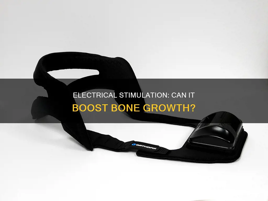 does electrical stimulation help with bone growth