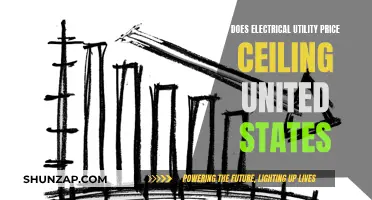 Electricity Price Ceilings: A US Utility Conundrum