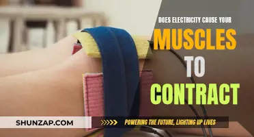 Electricity's Role in Muscle Contraction: How Does it Work?