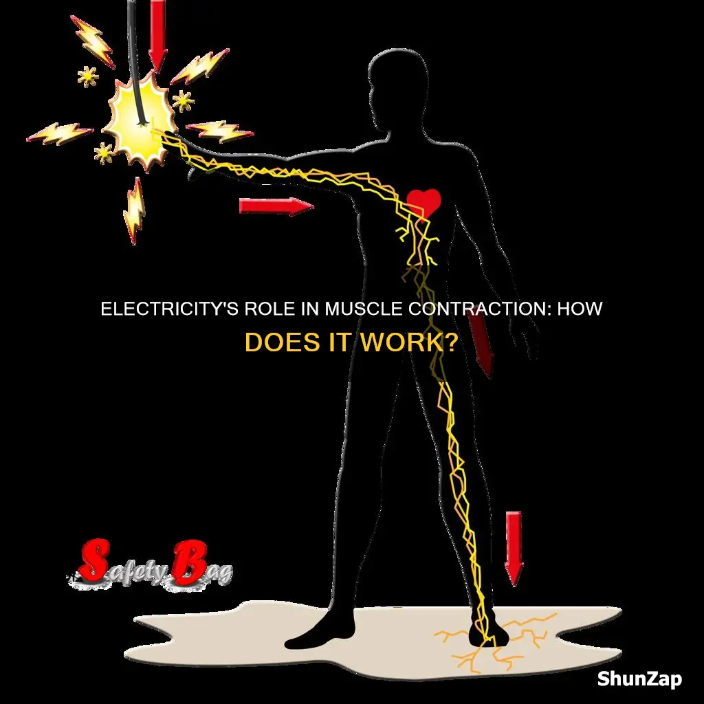 does electricity cause your muscles to contract