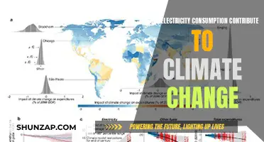 Electricity Consumption: Climate Change Culprit or Innocent Bystander?