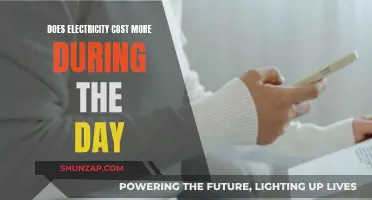 Daytime Electricity: Is It Costing You More?