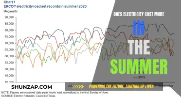 Summer Electricity Costs: Why the Spike?