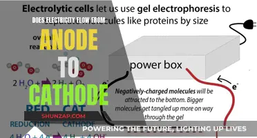 Electricity Flow: Anode to Cathode Direction