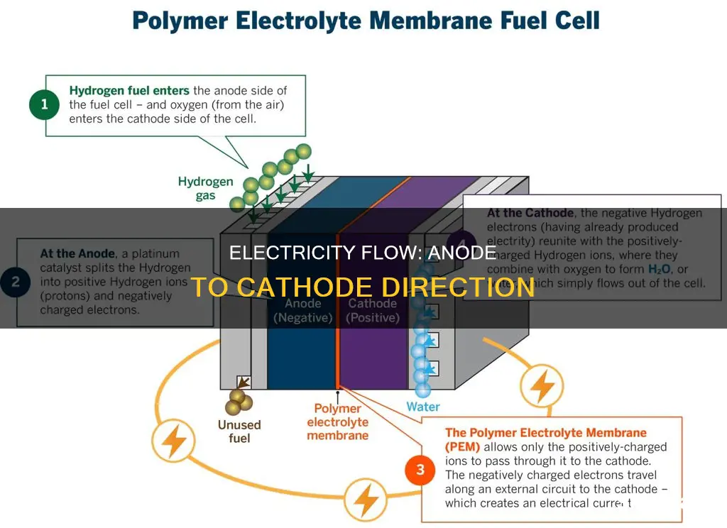 does electricity flow from anode to cathode