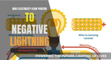 Electricity's Nature: Positive to Negative Flow
