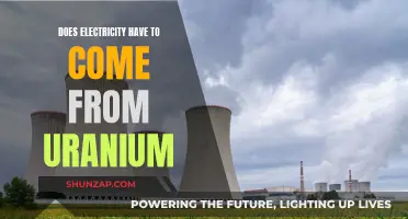 Electricity's Nuclear Connection: Uranium's Role Explored