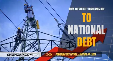 Electricity Costs Surge Amid Mounting National Debt