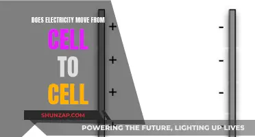 Electricity's Intricate Cell-to-Cell Journey: Unraveling the Mystery