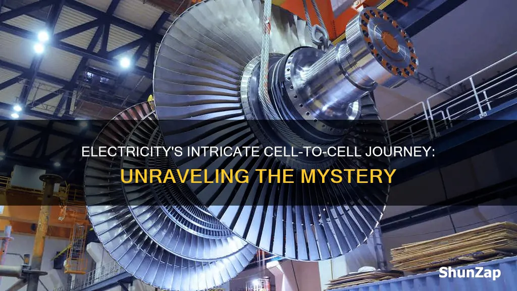 does electricity move from cell to cell