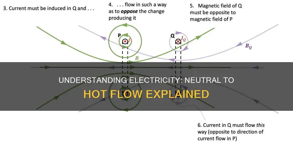 does electricity move from neutral to hot