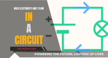 Electricity's Circuitous Nature: Why It Only Flows In Loops