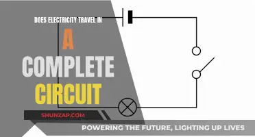 Electricity's Circuitous Journey: Understanding Complete Circuits