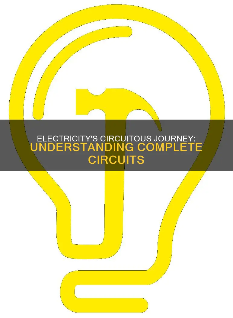 does electricity travel in a complete circuit