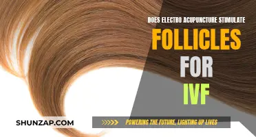 Electro-Acupuncture's Follicle Stimulation for IVF: How Effective?