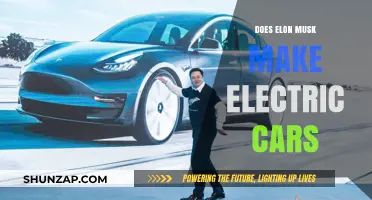 Elon Musk's Role in Revolutionizing Electric Cars: Fact or Fiction?