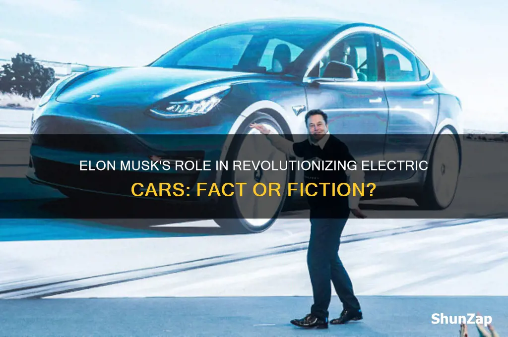 does elon musk make electric cars