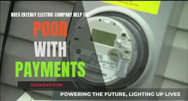 Entergy Electric Company: Payment Support for the Poor?