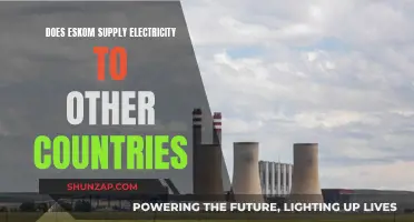 Eskom's Electricity Reach: Powering South Africa and Beyond