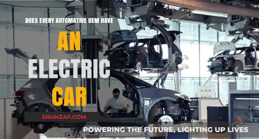 Electric Revolution: Do All Automotive OEMs Offer EV Models?