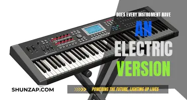 Electric Instruments: Every Instrument's Electric Twin?