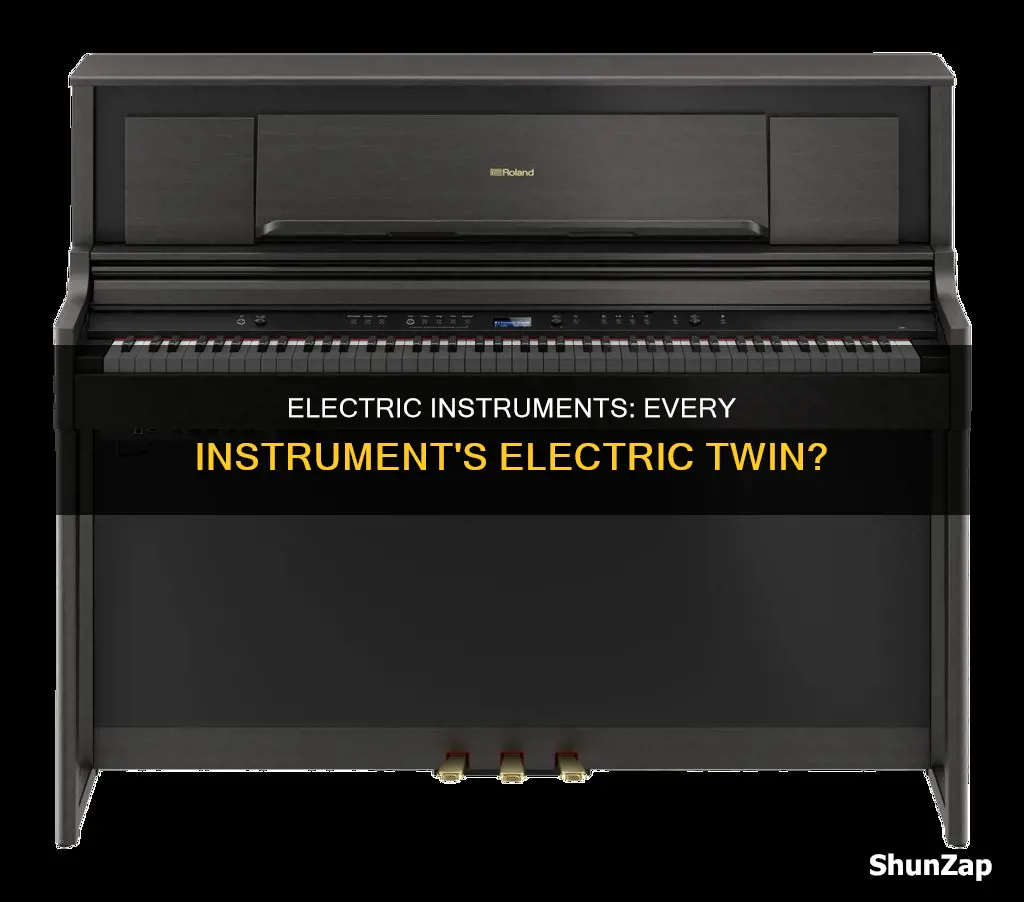 does every instroment have an electric version