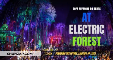 Electric Forest and Drugs: A Common Combination?