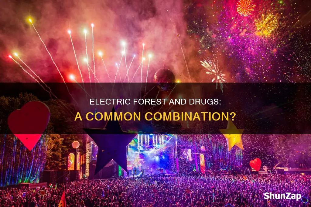 does everyone do drugs at electric forest