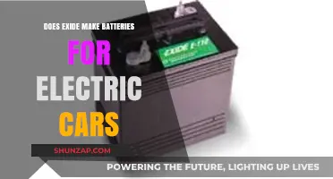 Does Exide Manufacture Batteries for Electric Vehicles? Exploring the Facts