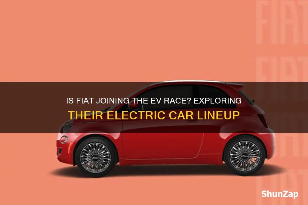 does fiat have an electric car