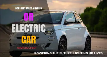 Fiat's Eco-Friendly Lineup: Hybrid and Electric Car Options Explored