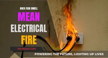 Fishy Smell: Electrical Fire Warning Sign?
