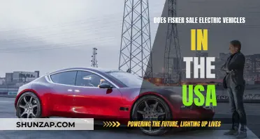 Fisker's Electric Vehicles: Available in the USA?