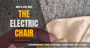 Florida's Electric Chair: A Gruesome Legacy?