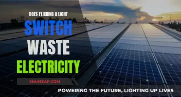 Light Switches: Energy Wasters or Energy Savers?