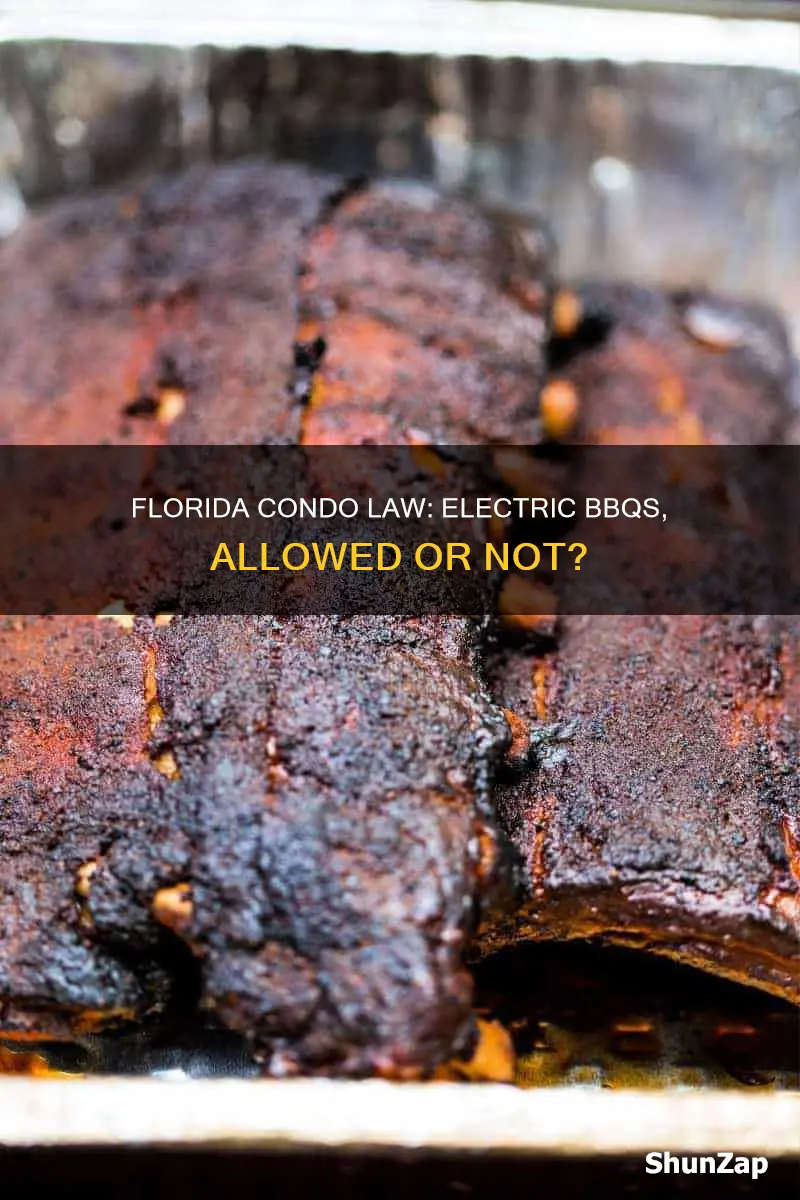 does florida condominium law permit electric bbq