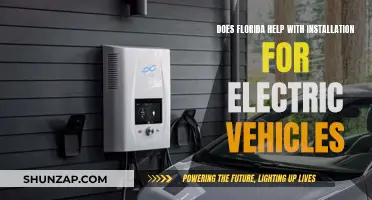 Florida's Support for Electric Vehicle Installation Explored
