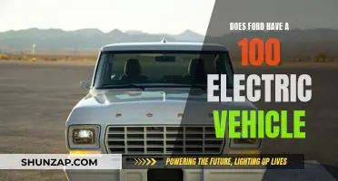 Ford's Electric Future: A 100% EV Revolution?