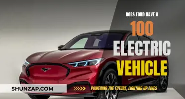 Ford's Electric Vehicle Revolution: 100% Electric Options Available Now