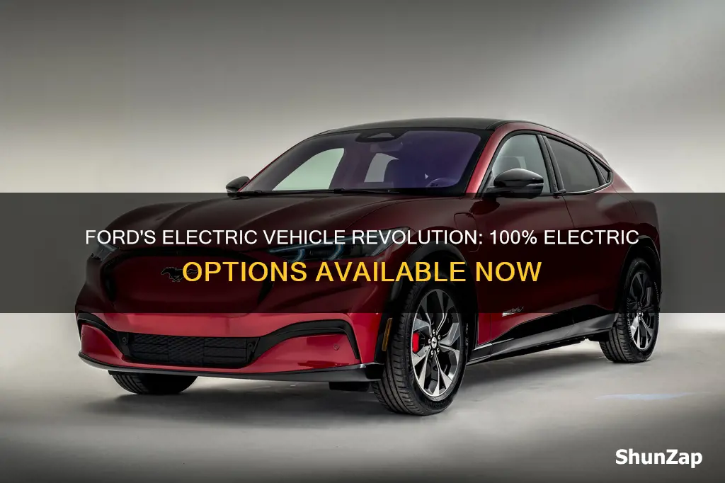 does ford have a 100 electric vehicle