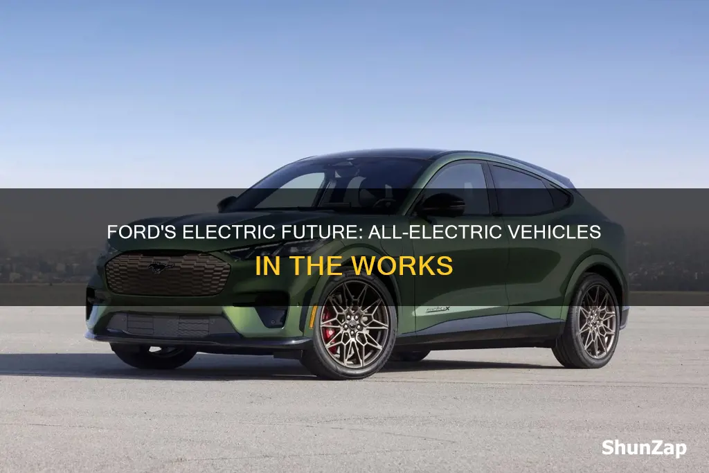 does ford have an all electric vehicle