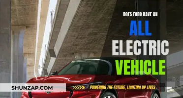 Ford's Electric Vehicle Revolution: All-Electric Options Explored
