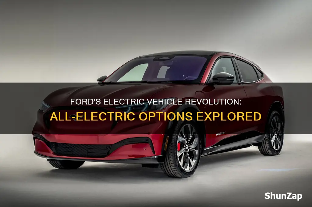 does ford have an all electric vehicle
