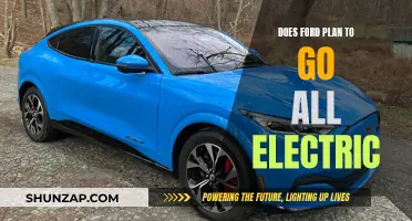 Ford's Electric Future: All-In on EVs?