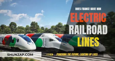 Are There Any Non-Electric Railroad Lines in France?
