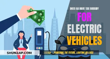 Georgia's EV Tax Subsidy: A Green Car Incentive?